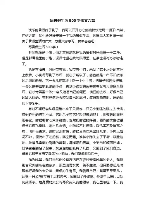 写暑假生活500字作文六篇