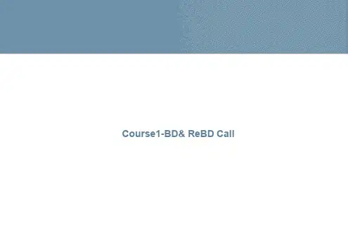 猎头培训课程14_BDRe_BD_Call_Handout