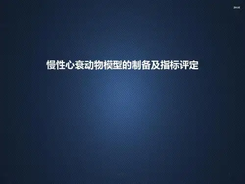 慢性心衰动物模型的制备及指标评定  ppt课件