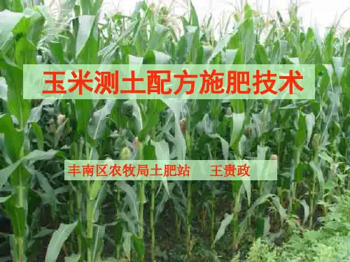 玉米测土配方施肥技术(王贵政)