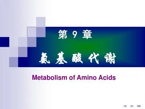 8-9氨基酸代谢