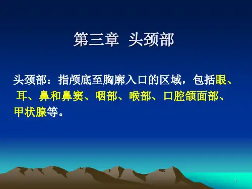 医学影像学：第三章头颈部