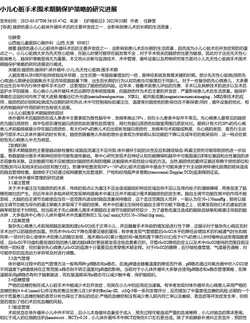 小儿心脏手术围术期脑保护策略的研究进展