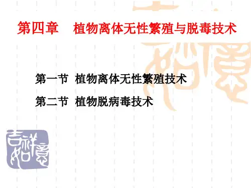 植物快繁与脱毒培养