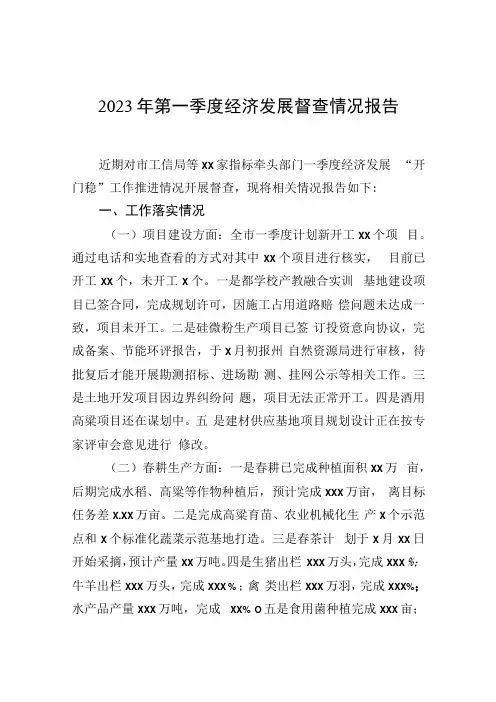 2023年第一季度经济发展督查情况报告