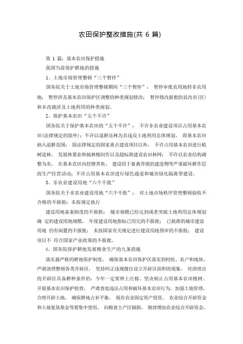 农田保护整改措施(共6篇)