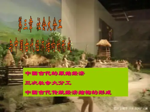 第三章中国古代经济史
