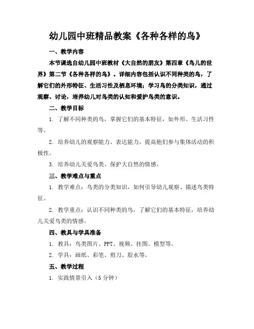 幼儿园中班精品教案《各种各样的鸟》