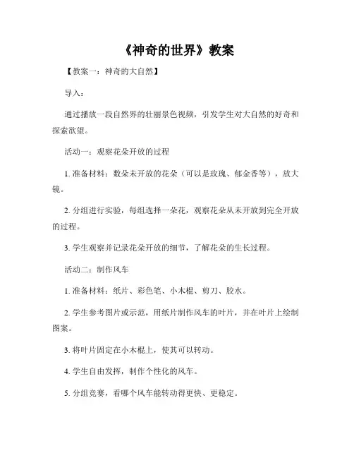 《神奇的世界》教案