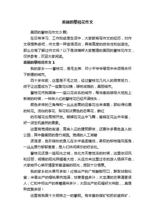 美丽的攀枝花作文