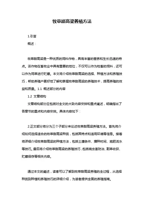 牧草甜高粱养殖方法