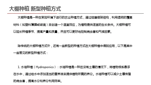 大棚种植 新型种植方式