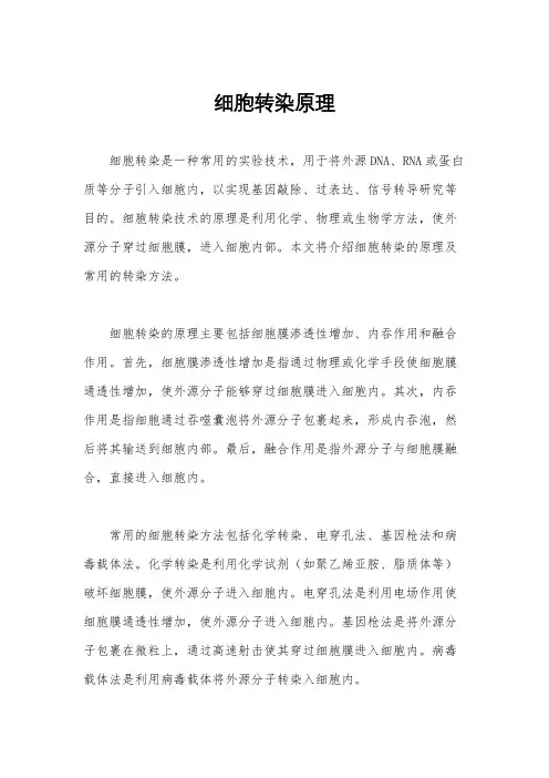 细胞转染原理