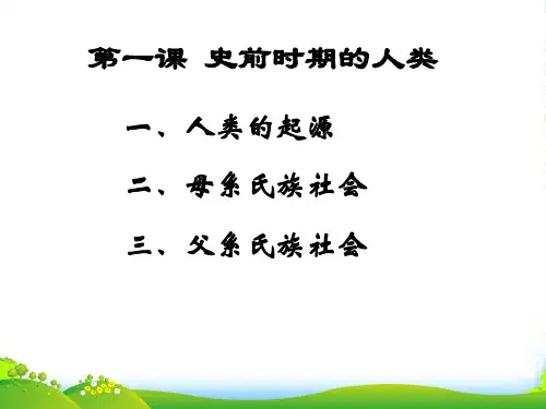 九年级历史上册 第一单元第1课史前时期的人类课件 华东师大
