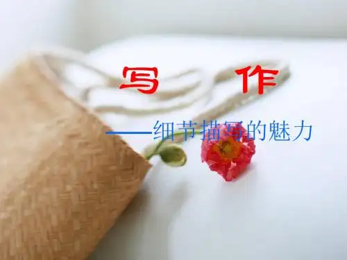 初中作文写作——细节描写的魅力PPT (共15张PPT)