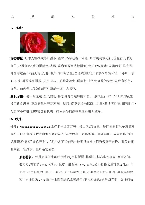 常见灌木类植物