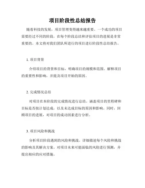 项目阶段性总结报告