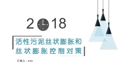 活性污泥丝状膨胀和丝状膨胀控制对策
