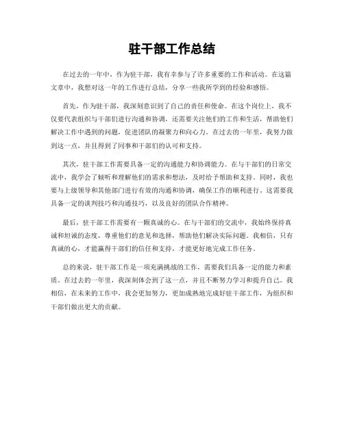 驻干部工作总结