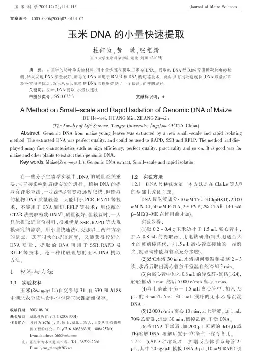 玉米DNA的小量快速提取