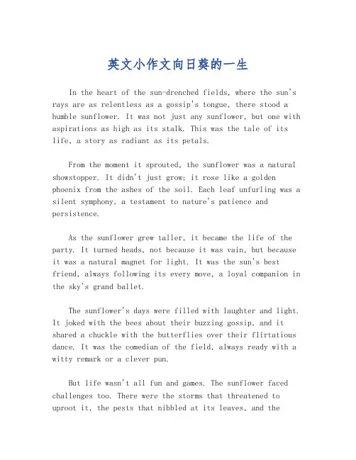 英文小作文向日葵的一生