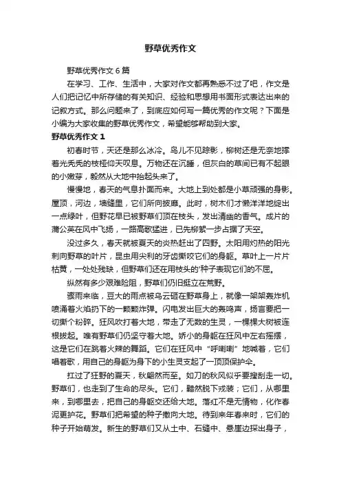 野草优秀作文6篇