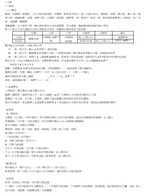 《局部解剖学期末复习资料》局解概要-重要.doc