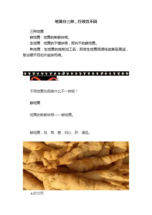 地黄分三种，疗效各不同