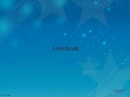 人体结构功能讲课文档