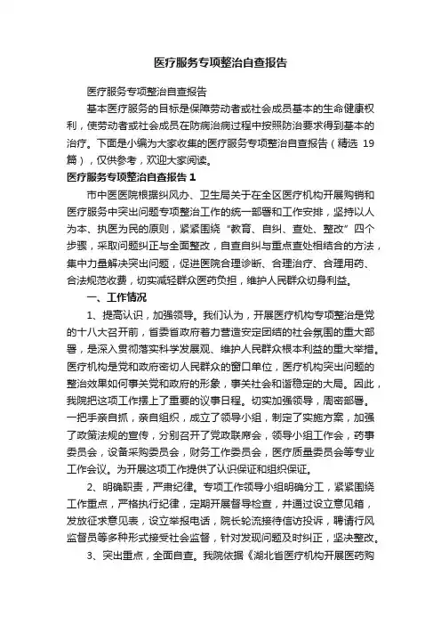 医疗服务专项整治自查报告（精选19篇）