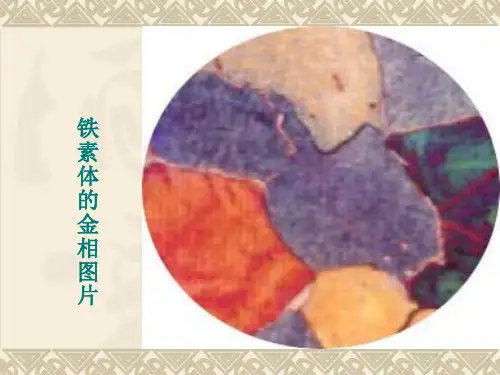 原创金属材料各种组织金相图片教学资料dfne