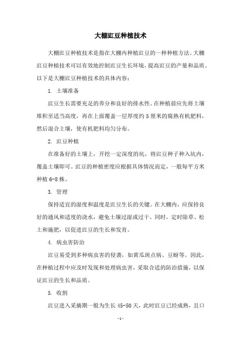 大棚豇豆种植技术
