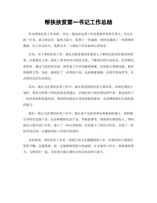 帮扶扶贫第一书记工作总结