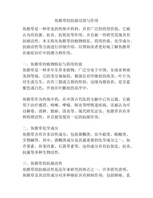 鱼腥草的抗癌功效与作用