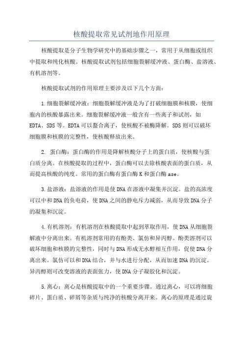 核酸提取常见试剂地作用原理