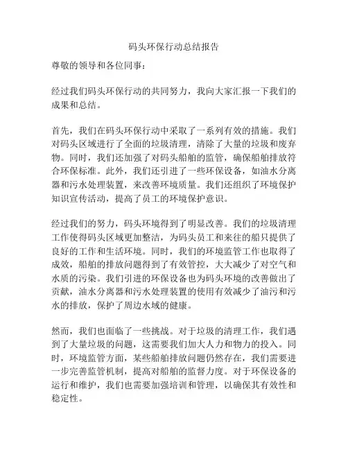 码头环保行动总结报告