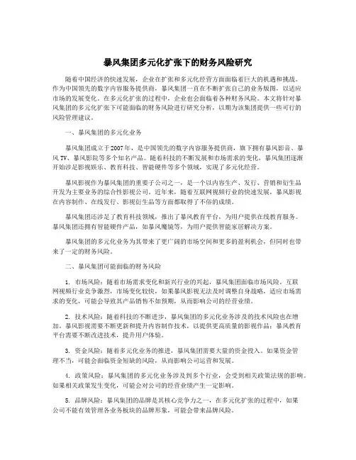 暴风集团多元化扩张下的财务风险研究