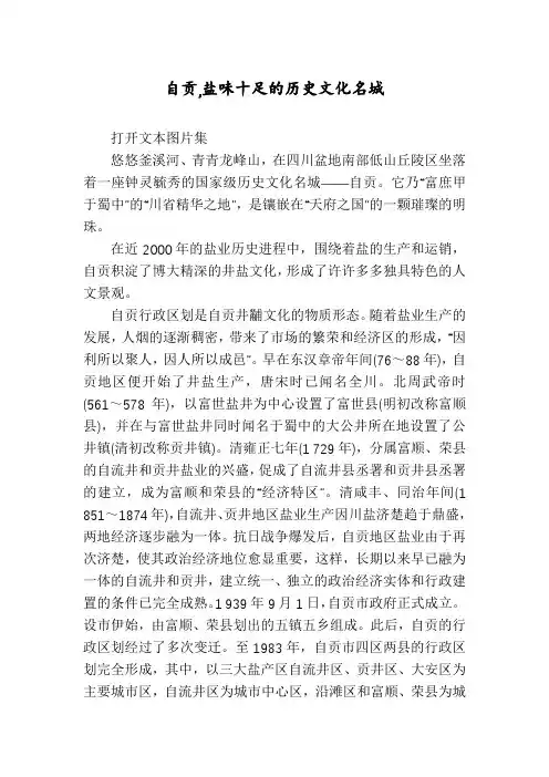 自贡,盐味十足的历史文化名城