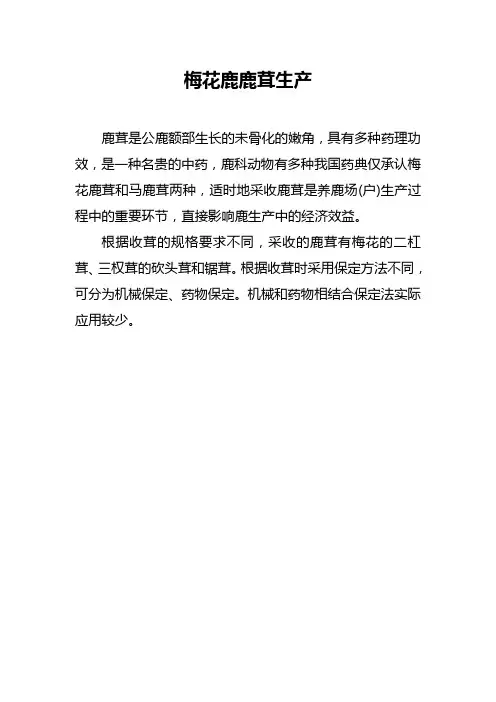 梅花鹿鹿茸生产