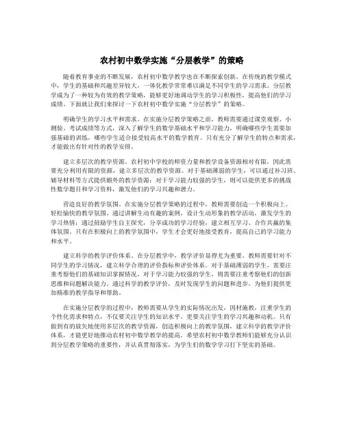 农村初中数学实施“分层教学”的策略