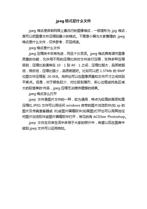 jpeg格式是什么文件