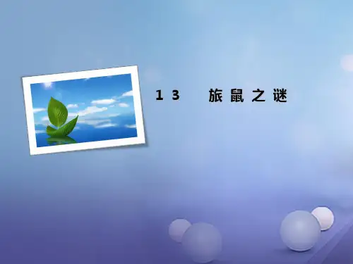 八年级语文下册 第三单元 13 旅鼠之谜课件 (新版)新人教版