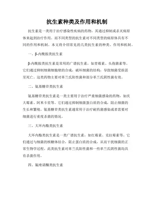 抗生素种类及作用和机制