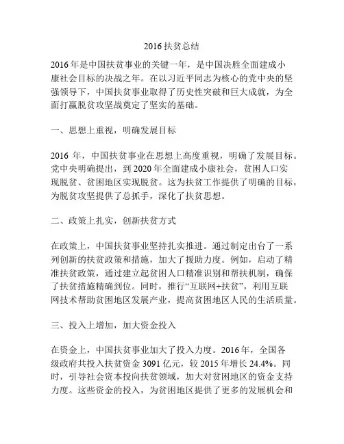 2016扶贫总结