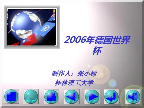 2006年德国世界杯案例分析8
