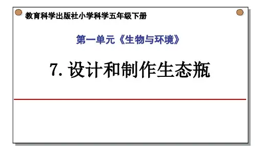 教科版五年级下册科学《设计和制作生态瓶》PPT教学课件