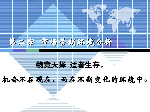 市场营销环境分析PPT(共 49张)