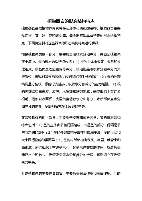 植物器官的形态结构特点