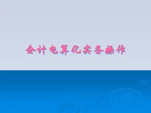 2023-吉林会计电算化实务操作演示