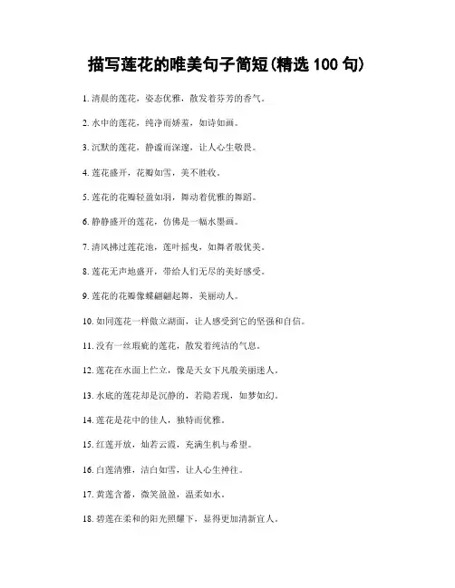 描写莲花的唯美句子简短(精选100句)